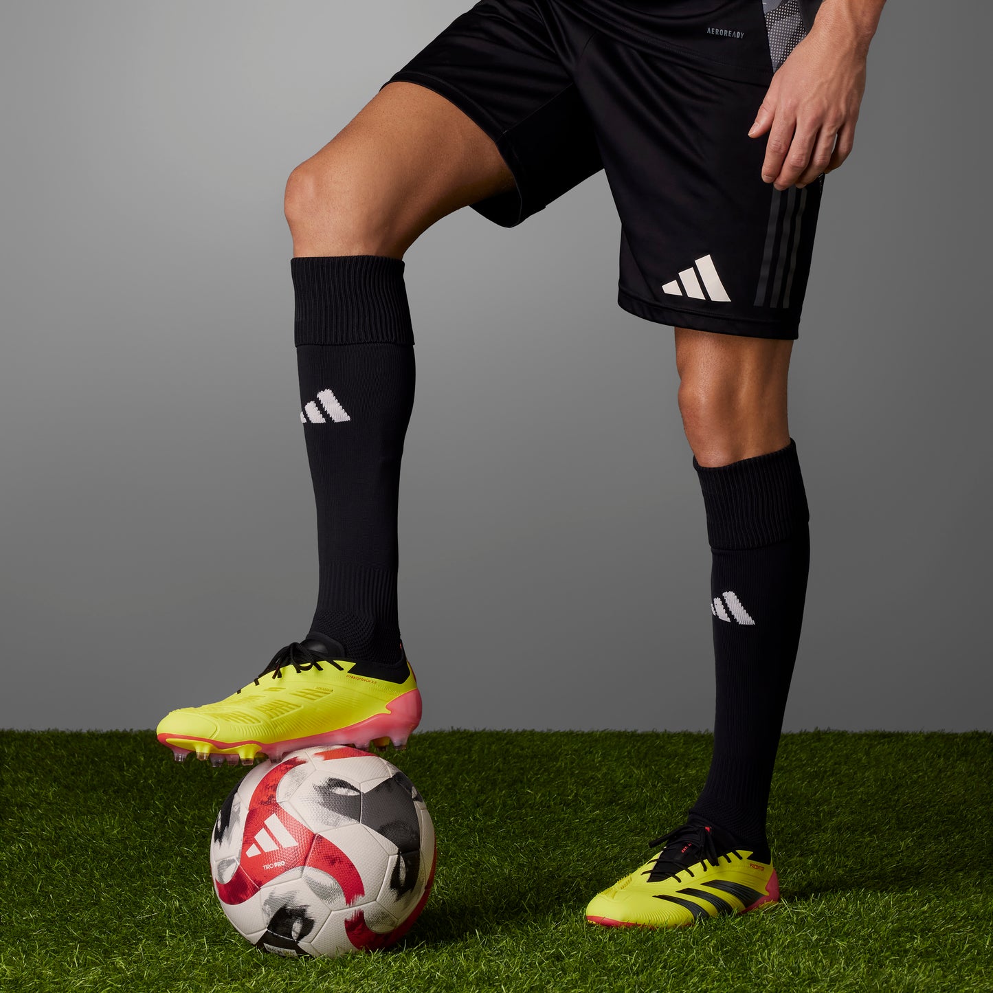 Adidas Predator 24 Low Elite FG