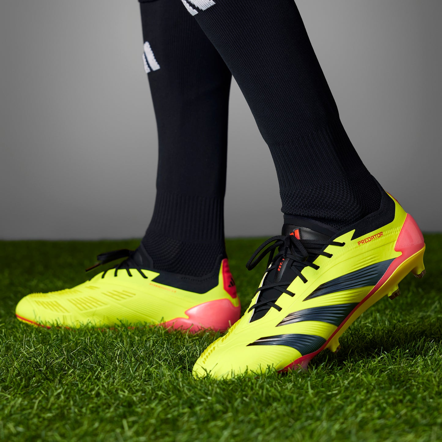 Adidas Predator 24 Low Elite FG
