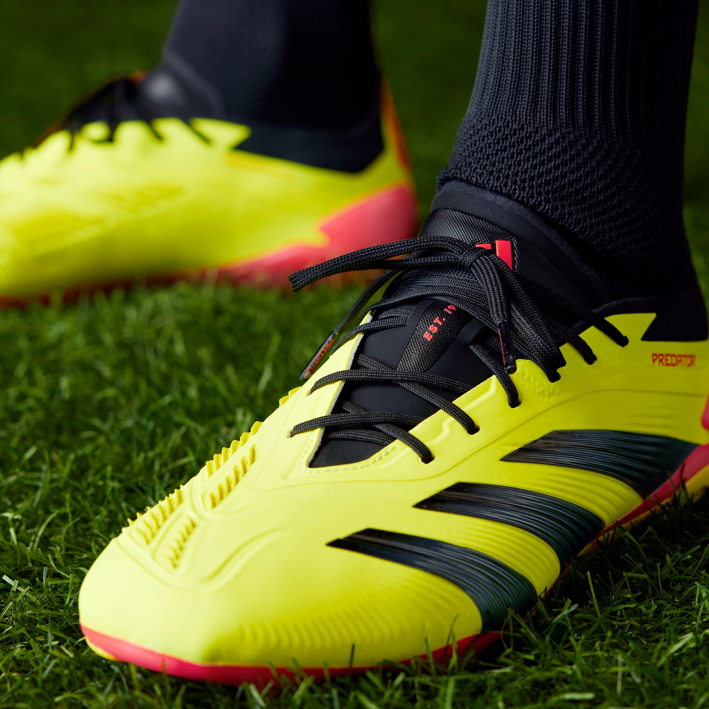Adidas Predator 24 Low Elite FG