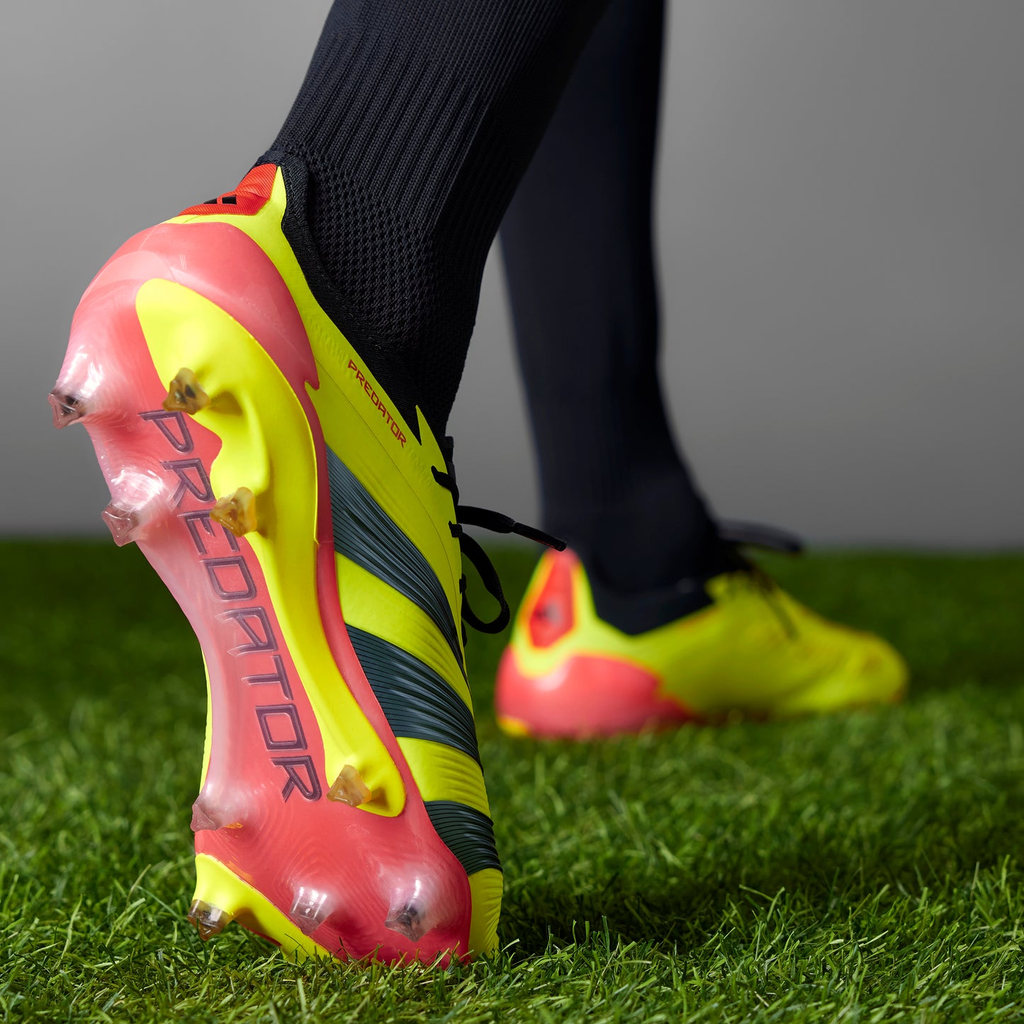 Adidas Predator 24 Low Elite FG