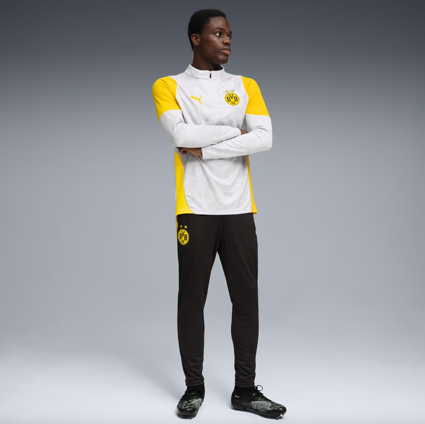 Puma Borussia Dortmund Training Quarter-Zip Top Men