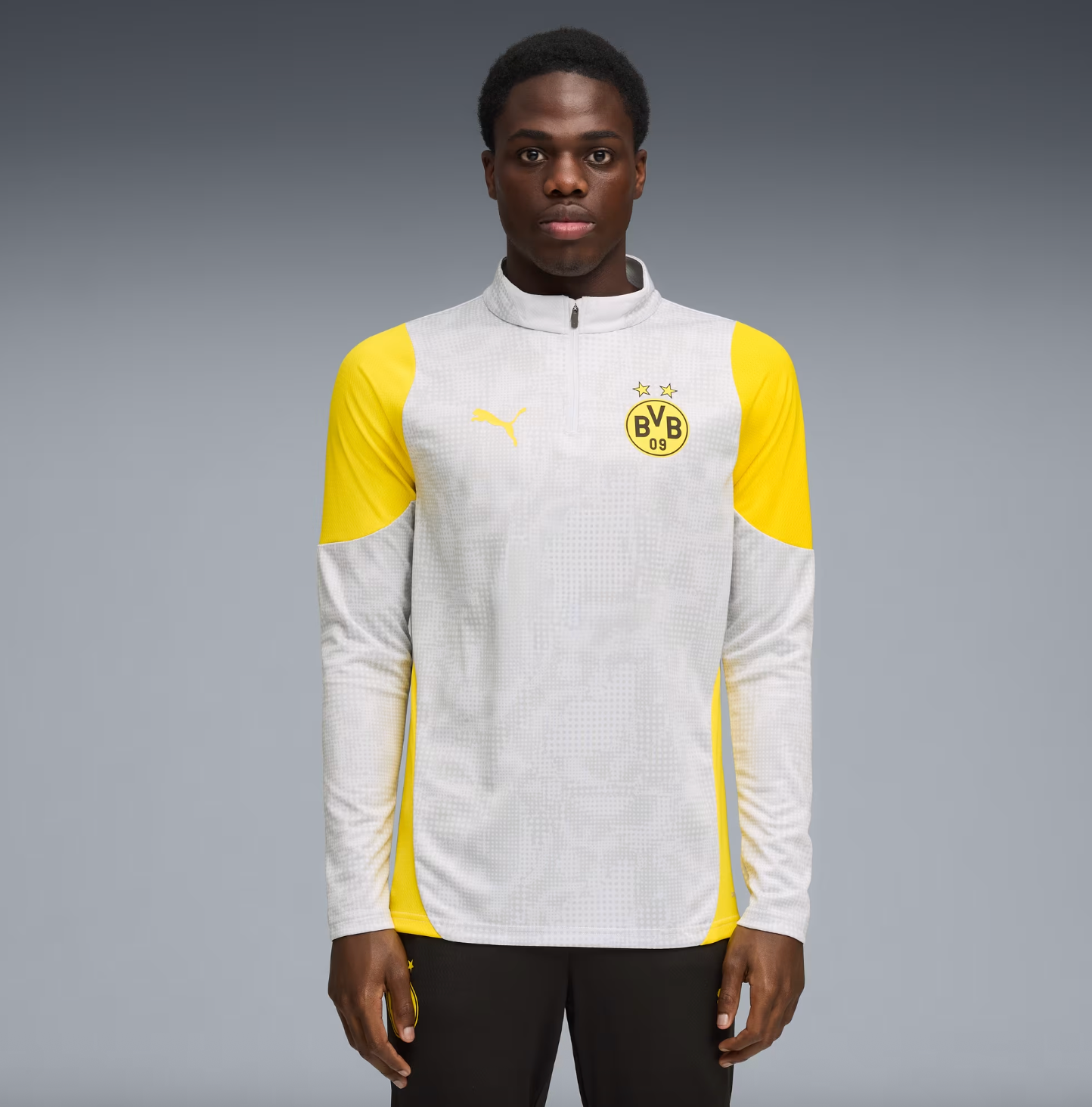 Puma Borussia Dortmund Training Quarter-Zip Top Men