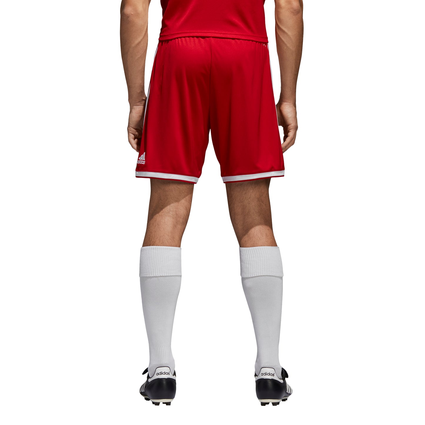 Adidas Regista 18 Shorts