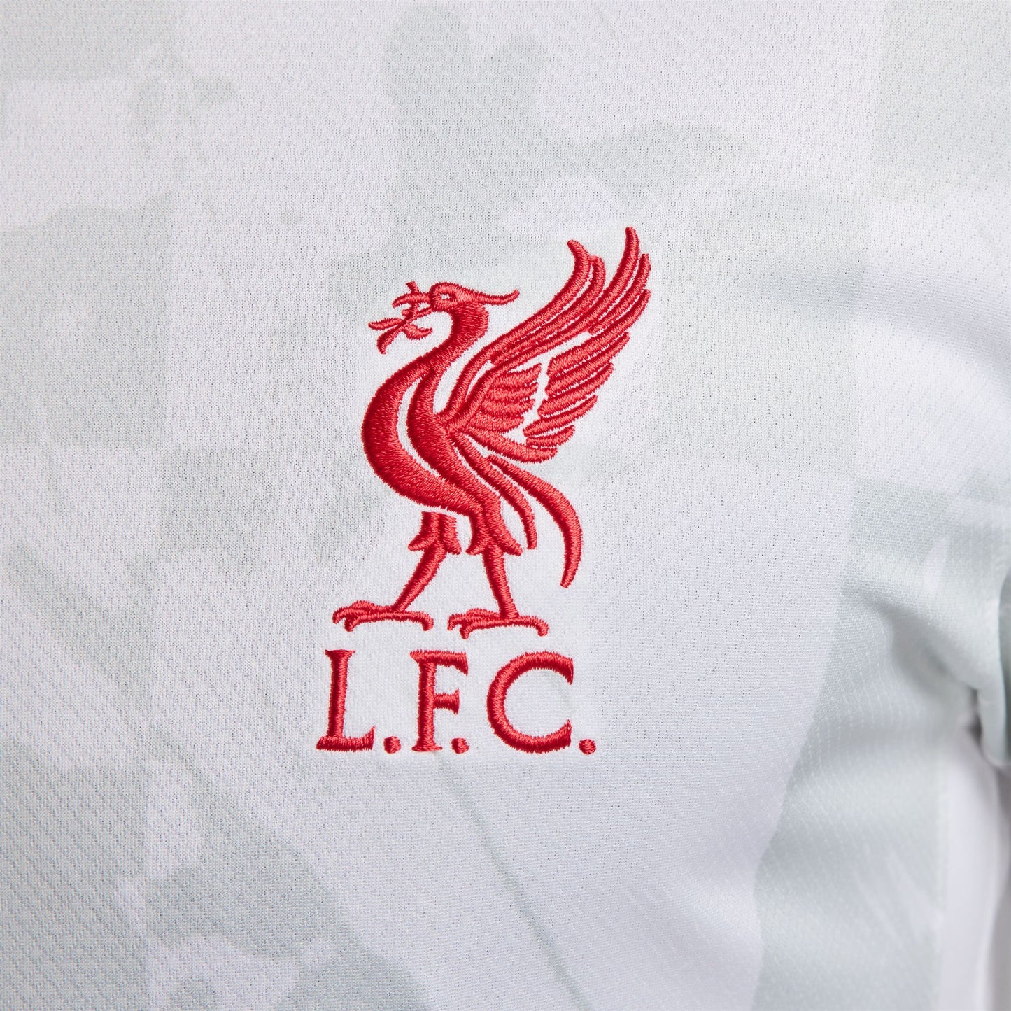 Nike Liverpool FC Stadium Third Jersey 24/25